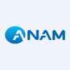 Anam Electronics
