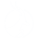 Antelope Enterprise Holdings Limited