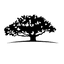 WisdomTree Dynamic International Equity Fund