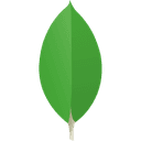 MongoDB, Inc.