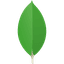 MongoDB, Inc.