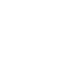 Ferrari N.V.