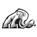 Mammoth Energy Services, Inc.