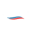 Twelve Seas Investment Company II