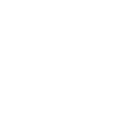 비자